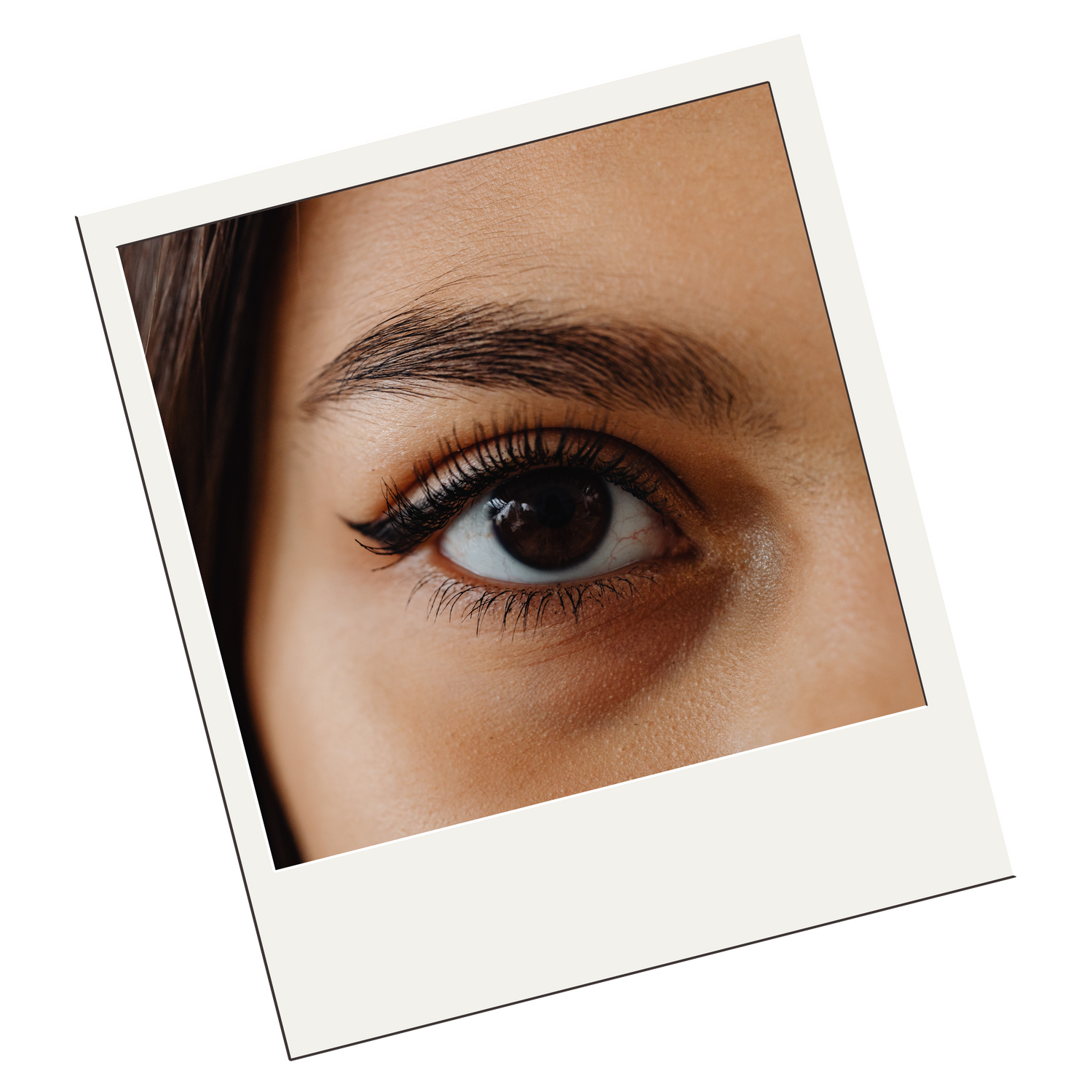 The Brow & Lash Collection